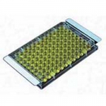 2mil Sterile Film SealPlate for Microplates_noscript