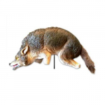 3D Coyote Predator Replica_noscript