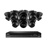 NVR System, 8 Dome Black Cameras, 30 fps_noscript