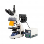 Trinocular Fluorescence Microscope_noscript