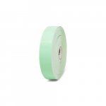 Z-Band Fun HC100 Wristband, Green, 1" X 10"_noscript