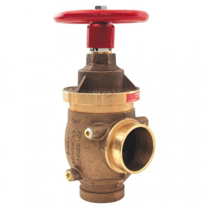 Dixon Valve