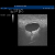 Additional image #7 for 3B Scientific 1019634