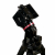 IOptron HE294PA