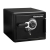 SentrySafe SFW082D