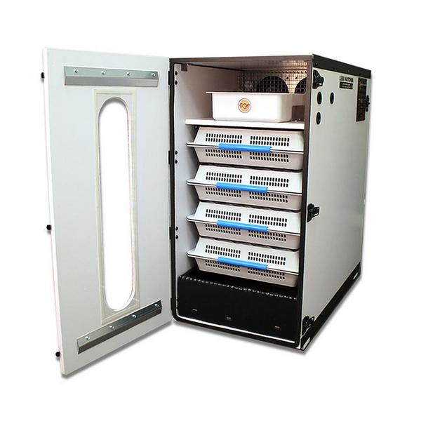 Order 1550 by GQF Digital Hatcher Incubator, 110V US Mega Store